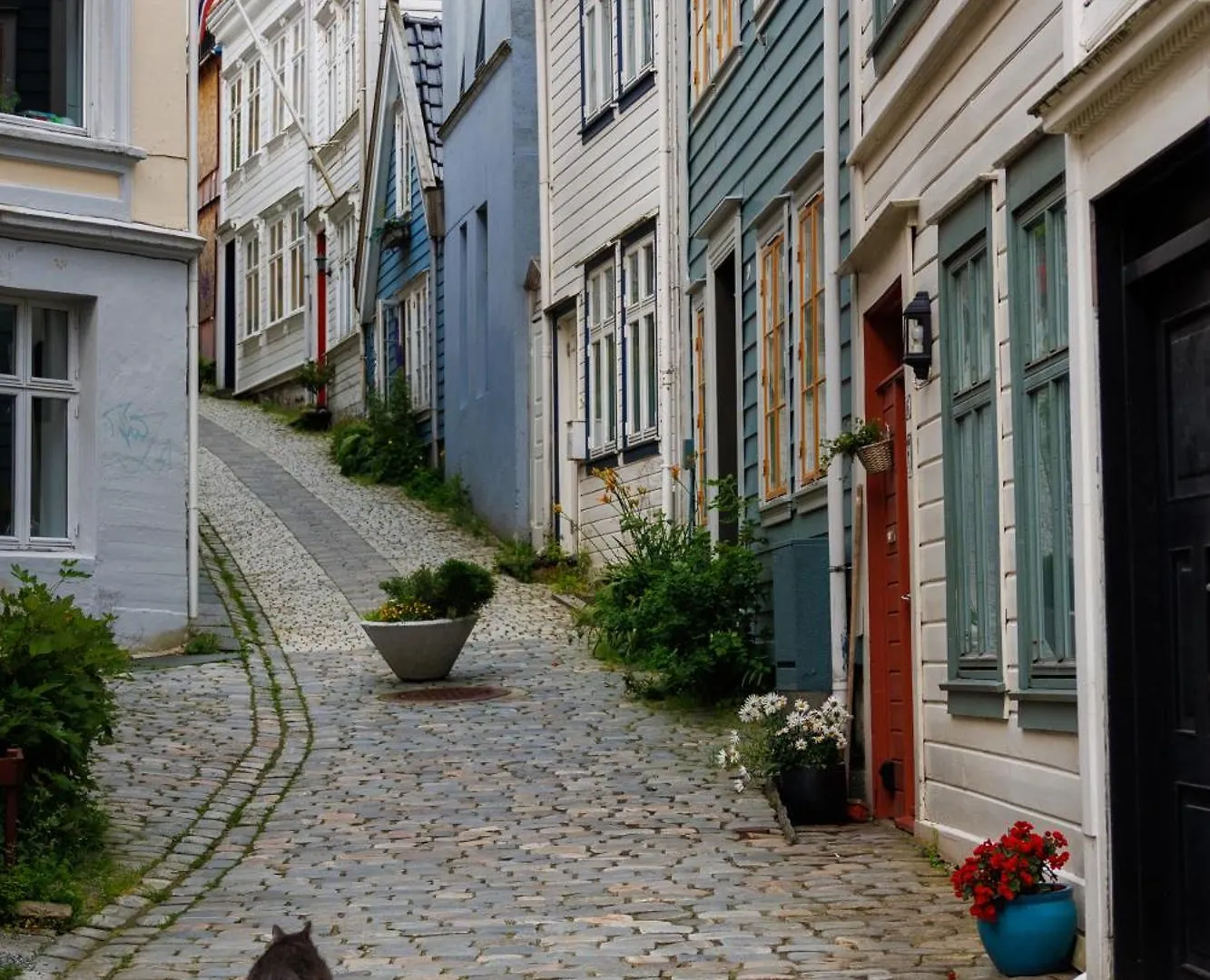 Appartamento Nordnes Brygge Bergen 0*,  Norvegia