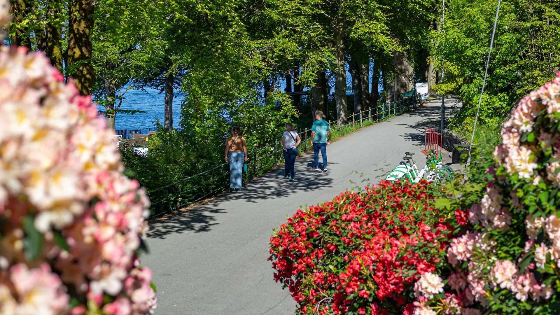 Appartamento Nordnes Brygge Bergen